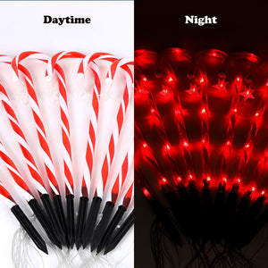 10 Pack Candy Cane Lights (30 V)