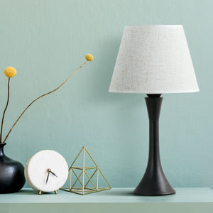 HAITRAL Black Minimalist Metal Desk Lamp Reading Lamp Set of 2 for Bedrooms, Living Room, Office Reading Lamp